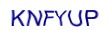 simple_captcha.jpg