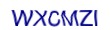 simple_captcha.jpg